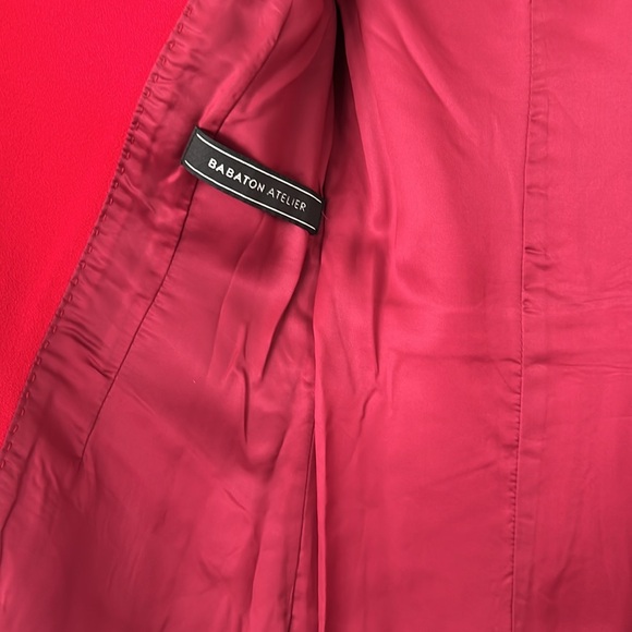 Babaton red blazer - Picture 5 of 12